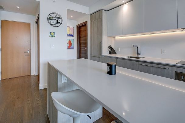 Appartement à louer - Montréal (Ville-Marie) (Mille Carré Doré) - Photo 1