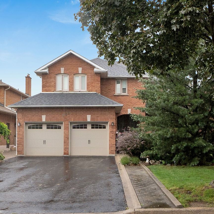 For Lease - 249 Dante Court Unit# Bsmt, Vaughan, Ontario - Photo 1