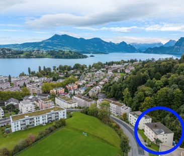 Rent a 3 rooms apartment in Luzern - Foto 4