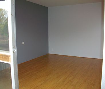 Location Appartement 1 pièce 29m² - Photo 2