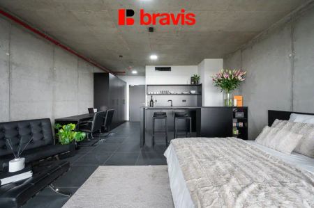 Pronájem 1+kk, Královopolská ul. Brno – Žabovřesky, zařízený, wifi v ceně - Photo 3
