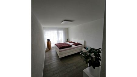 3½ Zimmer-Wohnung in Schmerikon (SG), möbliert, auf Zeit - Photo 5