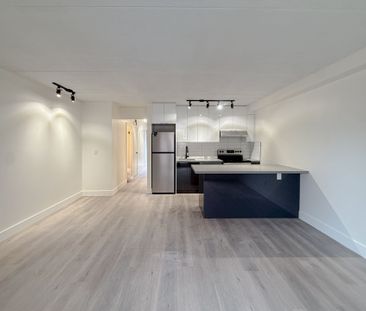 For Lease - 678 Queen Street Unit# Unit 2, Toronto, Ontario - Photo 3