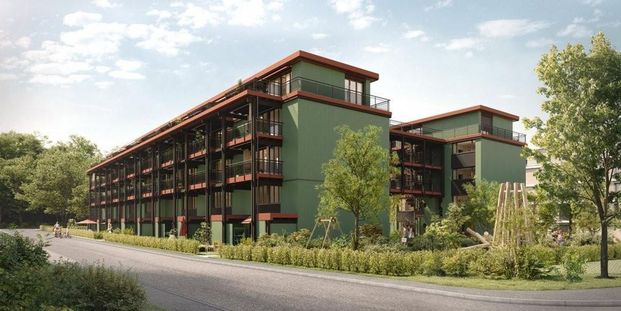 Looking for a unique apartment in Birsfelden? - Photo 1