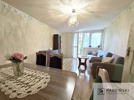 ul. Nowa - Zdjęcie 2