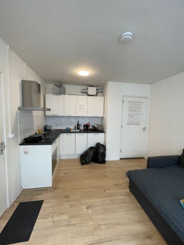 Tuinbouwstraat, Noorderplantsoenbuurt, Oranjewijk, Oude wijken, Groningen, Nederland, 9717 JJ, Nederland - Foto 3