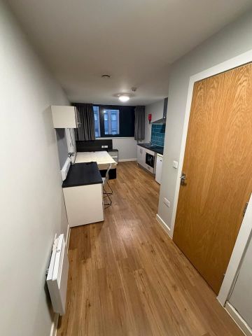 Studio Flat, Queen St, S1 - Photo 3