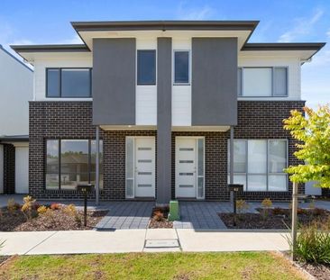 Comfortable Family Living in a Convenient Setting - Photo 3