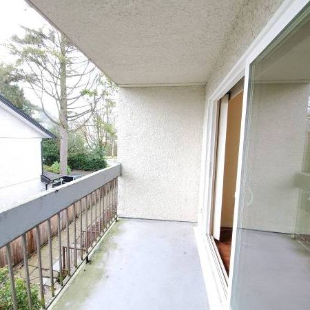 New Westminster 1 bedroom apartment + Den available NOW - Photo 1