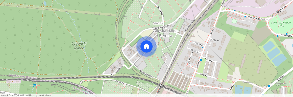 Panewnicka 351, Katowice, Panewniki