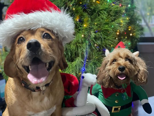 West Footscray - Photo 1