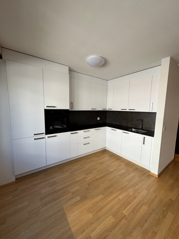 GERÄUMIGE 4.5-ZIMMER-WOHNUNG IM HERZEN VON BASEL - Foto 2