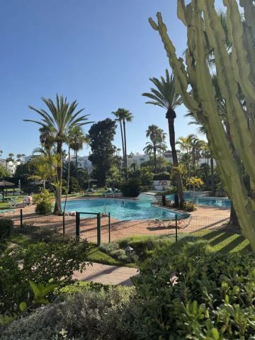 Alquiler de casa o chalet independiente en Carretera de Cádiz s/n - Photo 2