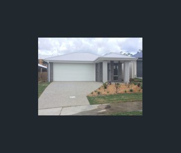 Stylish Lowset Family Home - Photo 6