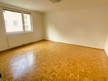 SINGLEHIT! WUNDERSCHÖNE NEUBAUMIETE IN TOPZUSTAND - Photo 3