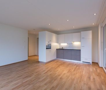 2.5 Zimmer, 53 m², 1. Stock - Photo 2