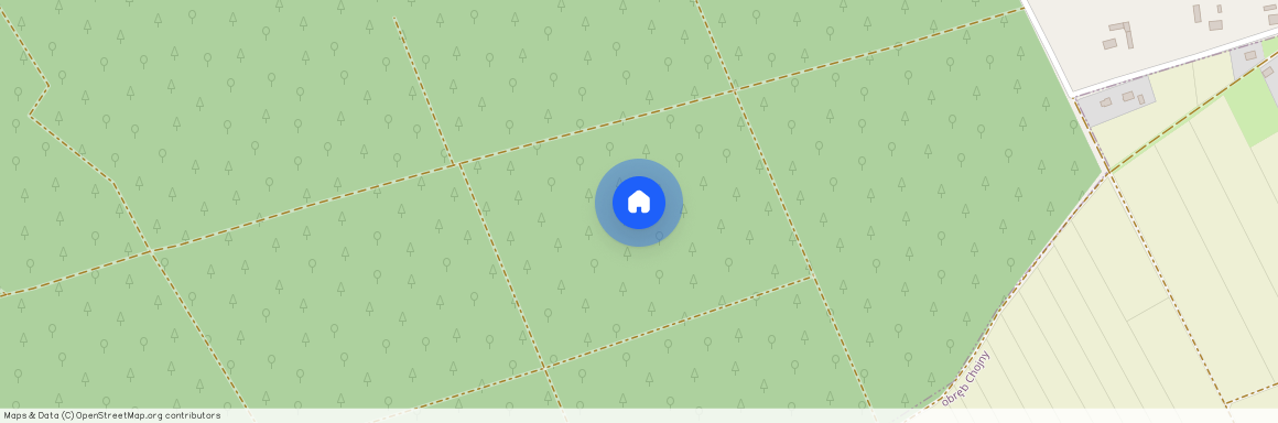 Orzeszkowej, Kolski, Koło