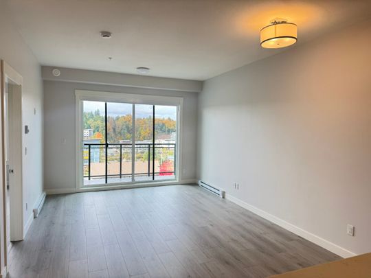 Top Floor Junior Two Bedroom Condo - Photo 1