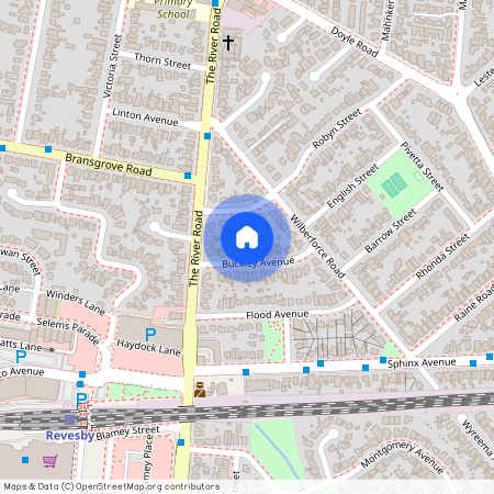 10 Buckley Avenue, NSW 2212, Revesby