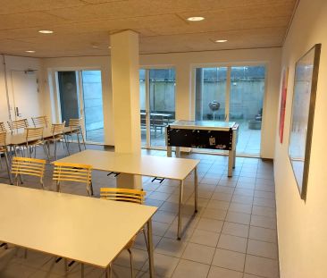 Lys og moderne bylejlighed tæt på alt i Aalborg - Foto 5