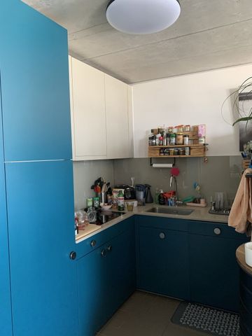 2.5 Zimmer, 60 m², 10. Stock - Foto 2