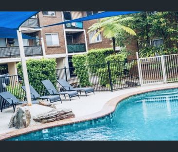 12/62-66 Sarawak Avenue, Palm Beach, Qld 4221 - Photo 4