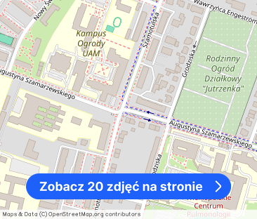 Klimatyczna słoneczna kawalerka w sercu Jeżyc - Zdjęcie 1