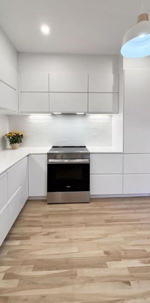 4 1/2 - Montréal (Centre-Sud) - 2 350 $/mois - Photo 1