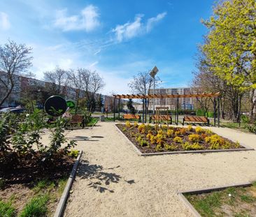 (Symbol 440048) MIESZKANIE na WYNAJEMStargard, Przytulna kawalerka ... - Photo 3