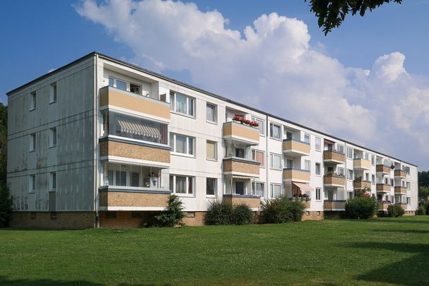 Viel Platz zum Wohlfühlen: Familienfreundliche Wohnung in Detmerode - Foto 1