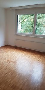 Lichtdurchflutete Wohnung in Aarau Rohr - Photo 3