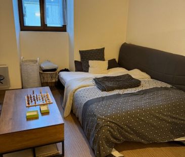 Location Appartement 1 pièce 19m² - Photo 2