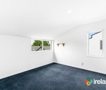 Sunny on Springfield - Photo 2