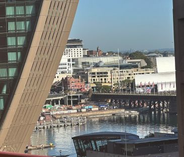 Level 11, 244/158-166 Day Street, Sydney NSW 2000 - Apartment For R... - Photo 6
