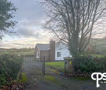 82 Creenagh Road, Loughgall BT61 8TY - Photo 6
