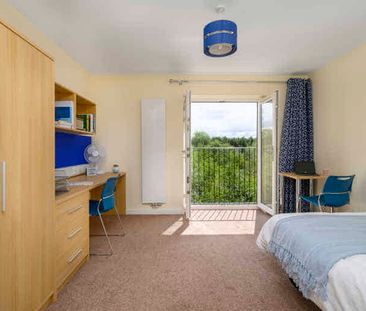 Deluxe Studio - Photo 6