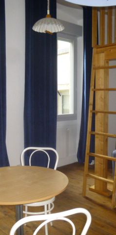 Location Appartement 1 pièce 28m² LE PUY EN VELAY 43000 - Photo 1