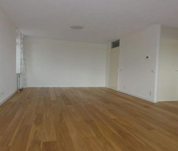 Appartement d'angle de 3 pièces Telderskade, Leyde - À louer - Photo 1