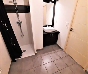 Location Appartement 1 pièce 26m² LAUNAGUET 31140 - Photo 5