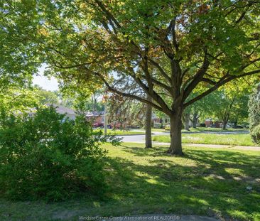 For Lease - 3256 DOMINION Boulevard, Windsor, Ontario - Photo 6