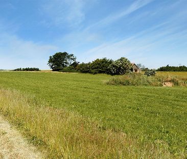 Frydenshøj, Norgesvej, Vesterstræde 258-0 - Photo 6