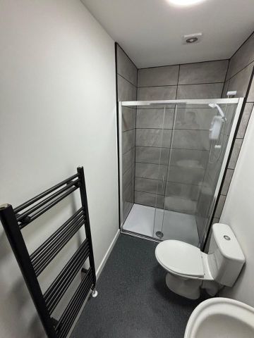 1 Bed Flat, Kremlin Drive, L13 - Photo 5