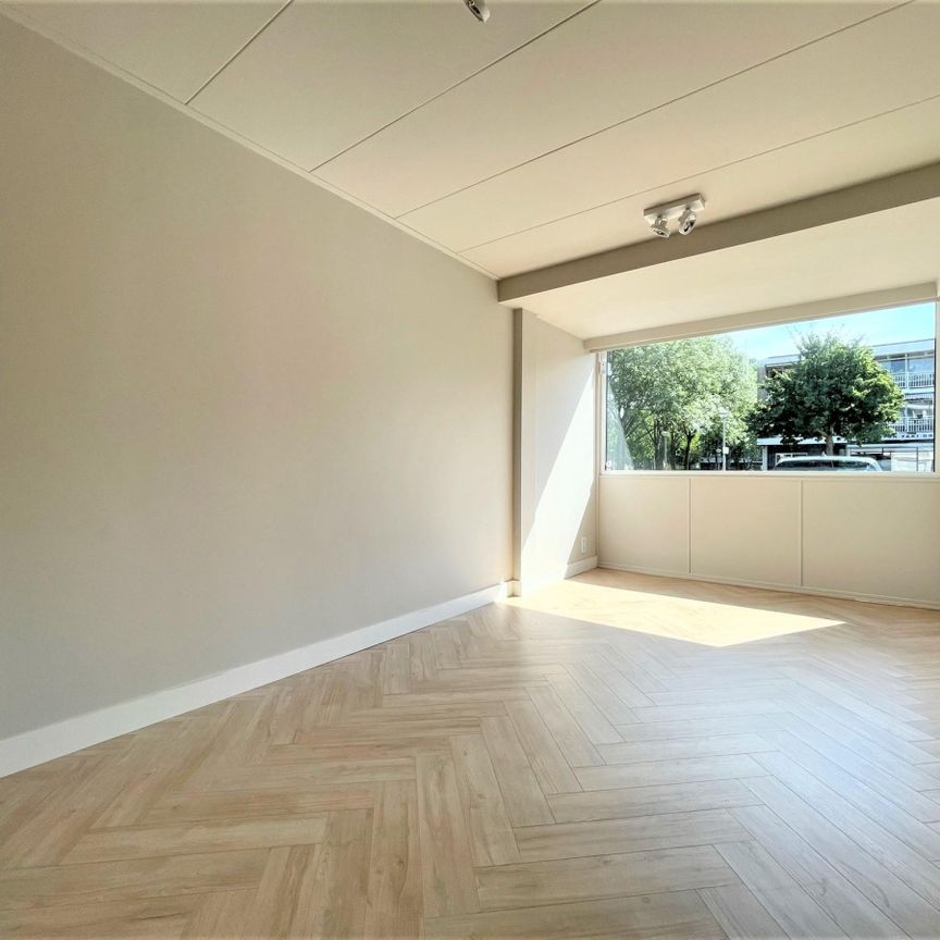 Nederhoven - Photo 1