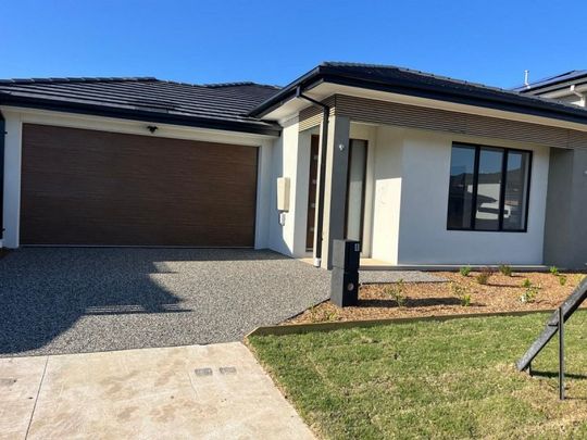 8 Homely Avenue, Clyde North - Photo 1