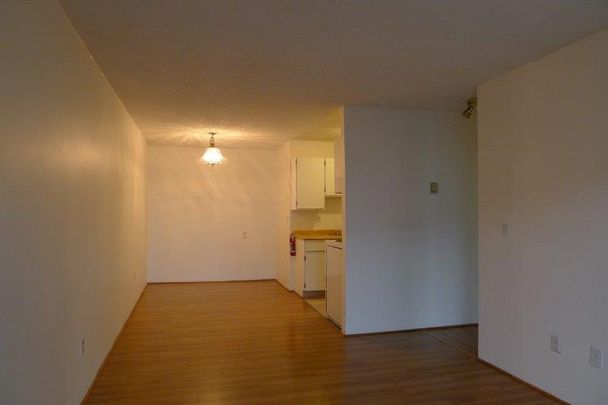 #110 – 240 Mahon Avenue, North Vancouver, Bc V7m 3h4 - Photo 1