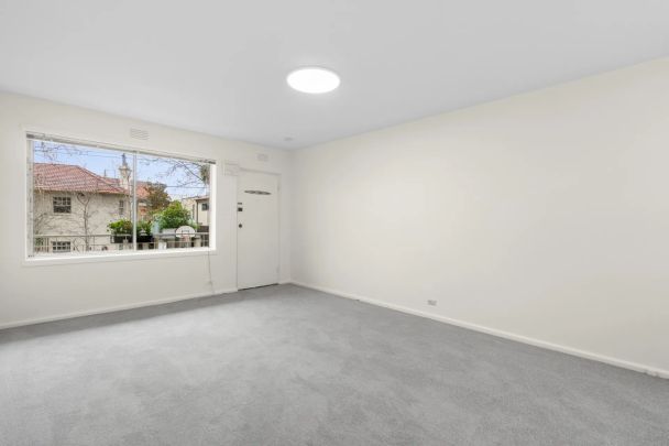 Refreshed Tidy studio in the heart of Elwood - Photo 1