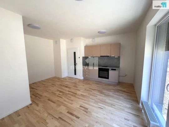 Pronájem bytu 1+kk/Z, 32 m - Fotografie 1