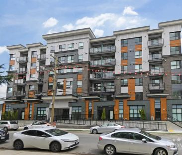 20695 Eastleigh Cres — Bright & Modern 1 Bed 1 Bath Condo with Tree... - Photo 5