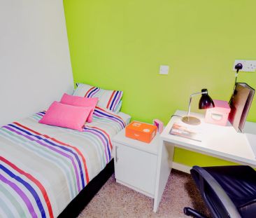 Premium Studio (Single Bed) - Photo 4