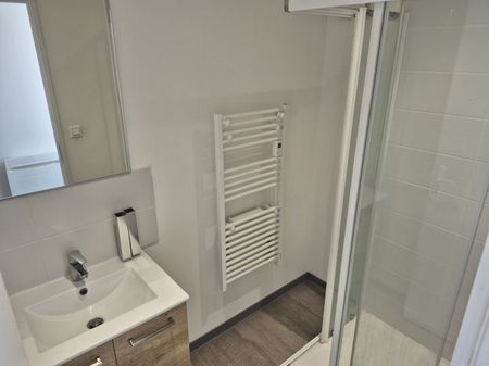 BEL APPARTEMENT T2 avec petit extérieur - Photo 5